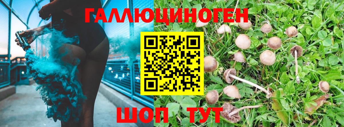 Галлюциногенные грибы Magic Shrooms Зима